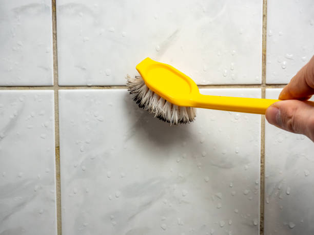 Best Same-Day Mold Removal  in Pampa, TX