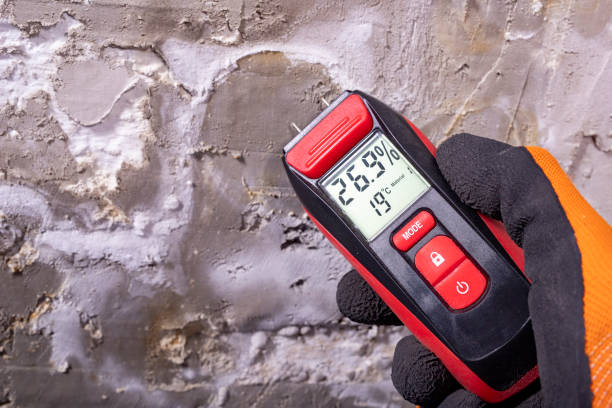 Best Attic Mold Removal  in Pampa, TX