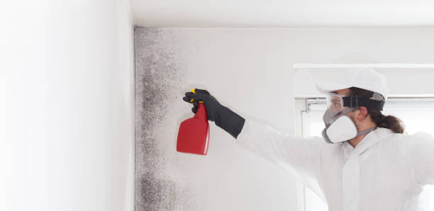 Crawl Space Mold Removal in Pampa, TX
